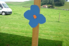DSCN3034