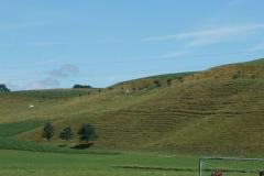 WhatsApp-Image-2022-06-26-at-16.24.14-1