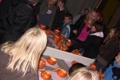 halloween(41)