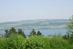 DSCN5720