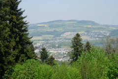 DSCN5735