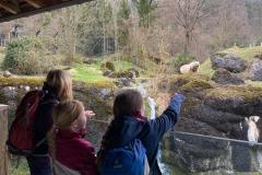 293B5343-09D1-4C56-A4CB-44529E72E151