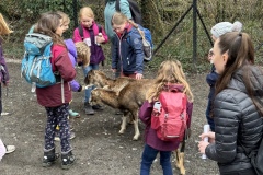 31FEF144-D51D-4959-97AF-B249D02F234F