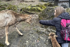 3CB37722-73DF-4B10-BAC7-B32E391EF56E