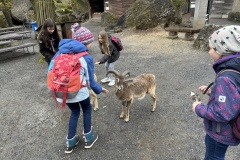 45C8DD63-DD2C-4D23-8267-83D312D16DF4