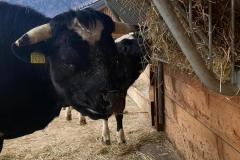 4CC2AA3E-14AA-4875-80D1-9026C461E79F