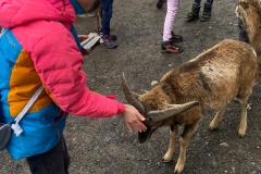 56315547-C82E-4AF5-A3E0-7C9908EB85DC