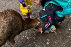 5BB7402E-2696-4B25-BE40-2A4B53F762D1