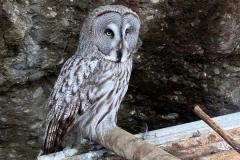 784BC7C5-6339-4AE2-AC3A-369B0B205960