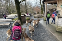 789CAACD-84E8-462B-837D-8657DE6C7AD7