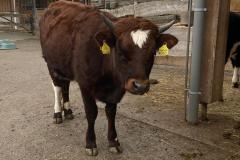 82AB80E7-3EDC-4FE8-95D6-1119B2C5B779