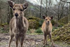 879A6C92-28E4-4098-947B-EDC91C34266B