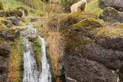 8BAF70DC-86F5-4008-B8D4-00BABD93412F