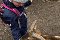 8D7CF2E9-ADB2-442A-8A67-0C5360B7AD13