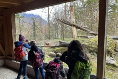 B03CCF5A-8E6F-4E21-8A51-D52F77CA444C