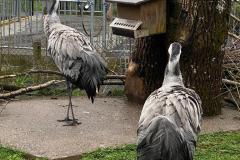 D7FC4863-6CC3-402E-A2B4-82161582AFE7