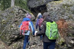 D80F1F09-74EB-4A2E-80D2-453C0FF7307E