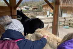 F0B41063-7AD9-4552-8497-963D0D436CF3