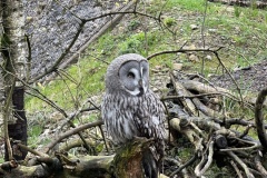 F4EA0B32-19C6-407D-9DE0-815FC0CF9571