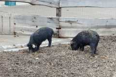 F659BCB2-89F7-4519-9B47-BB529800D27F