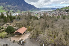 FB0CE617-A6F3-4B3F-9628-A0AE99465B25