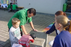 Scharwerbetag01