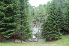 image36