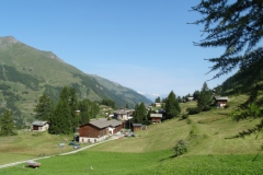 DSC07869